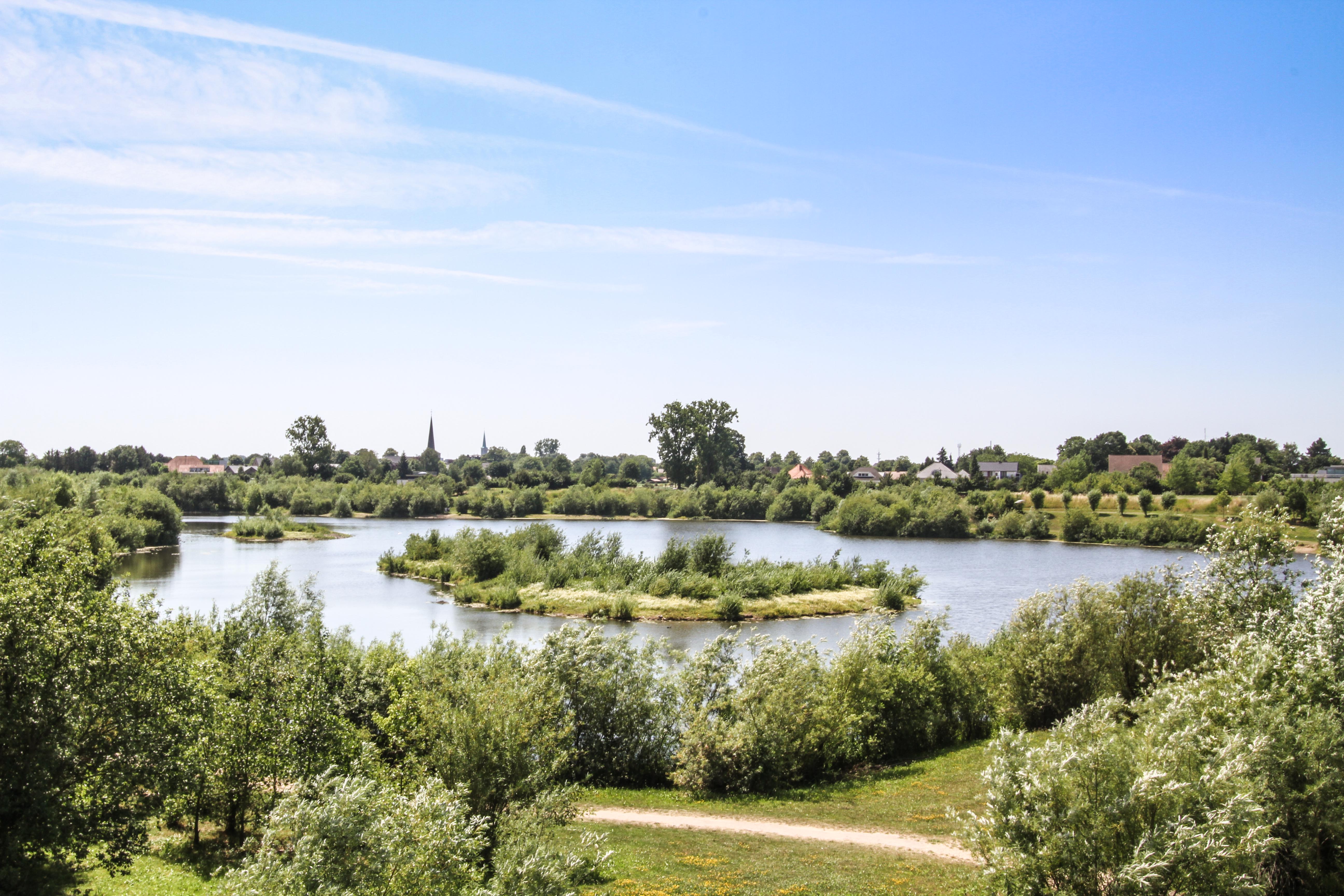 Buitenlanders vissen Limburgse plas helemaal leeg (Maaseik ...