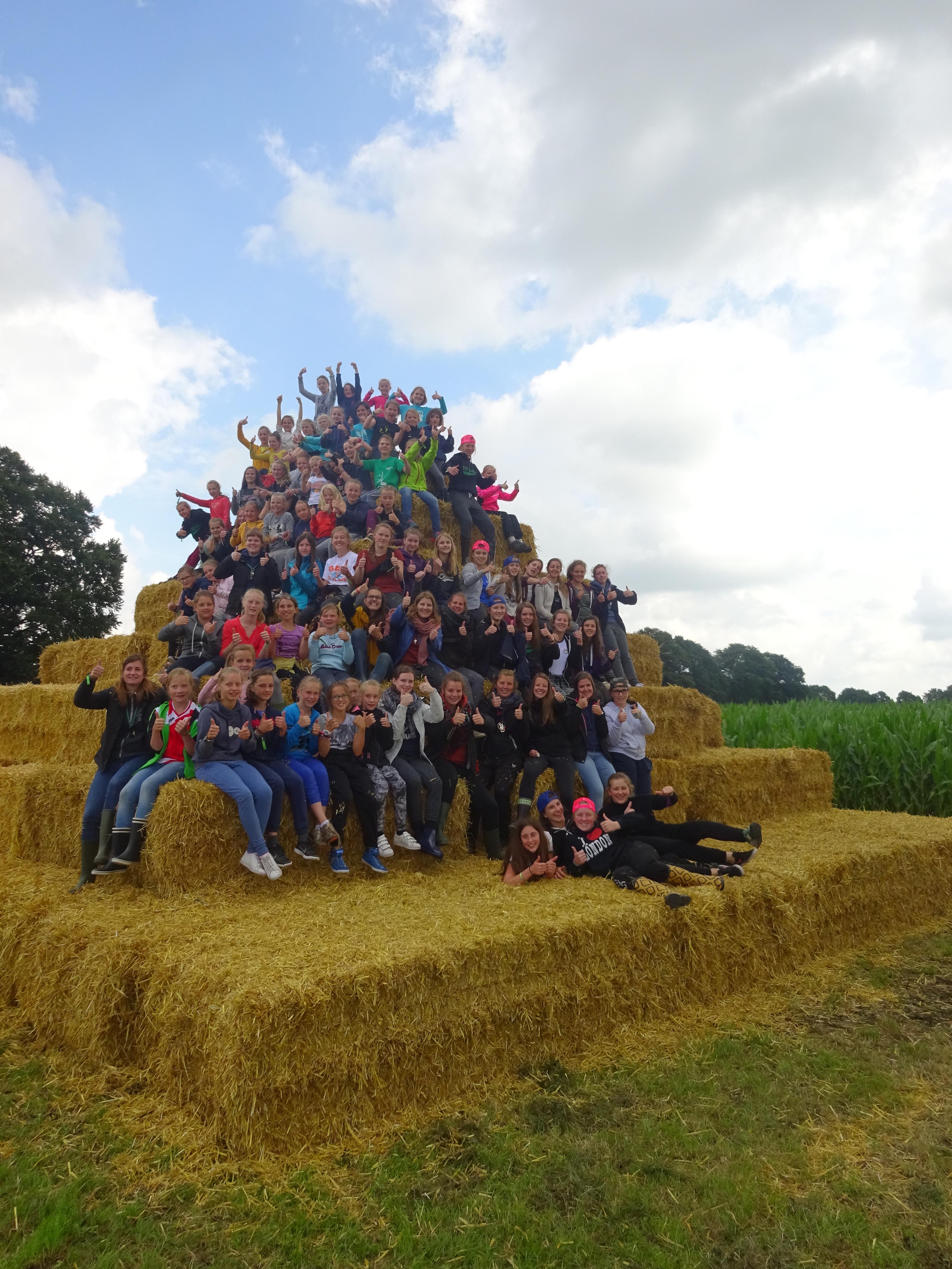 Smelten Vermelding dubbele Wanneer kalft de koe van het Peerse maïsdoolhof? (Peer) | Het Belang van  Limburg Mobile