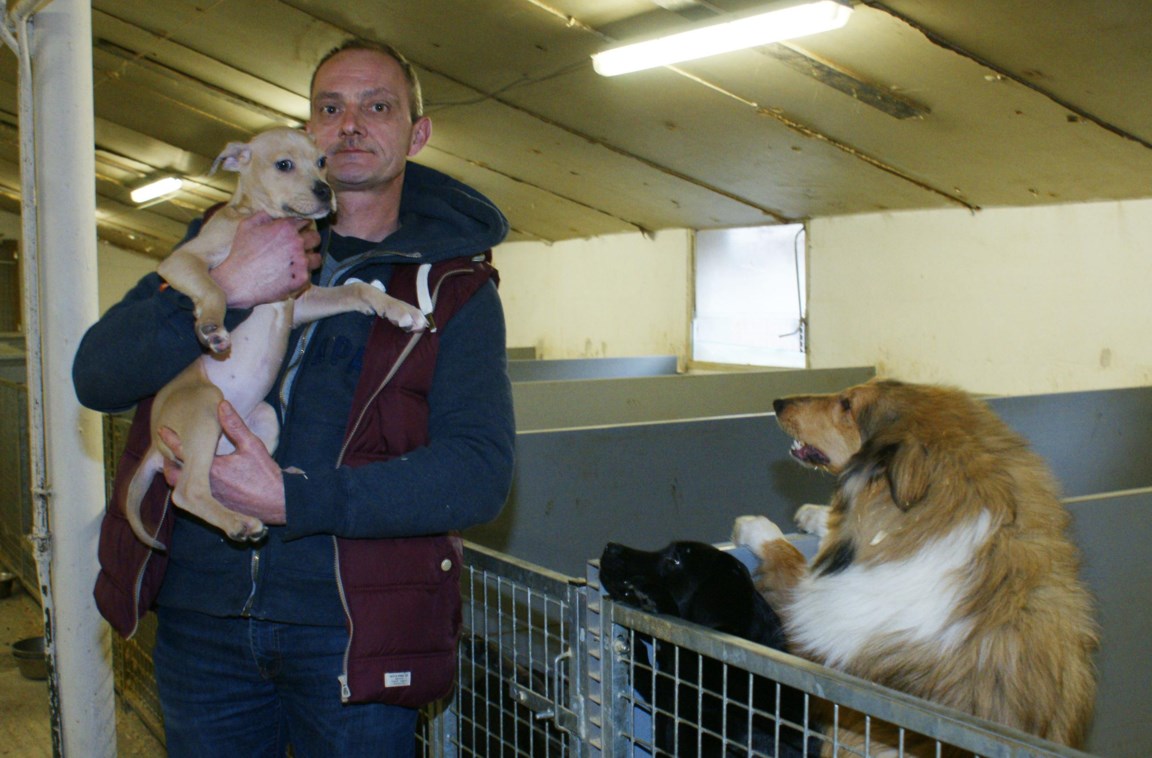 Hondenfokker trekt zijn staart in: "Dan moeten ze maar pups in Oost-Europa gaan halen" (Lummen) | Het Belang Limburg Mobile