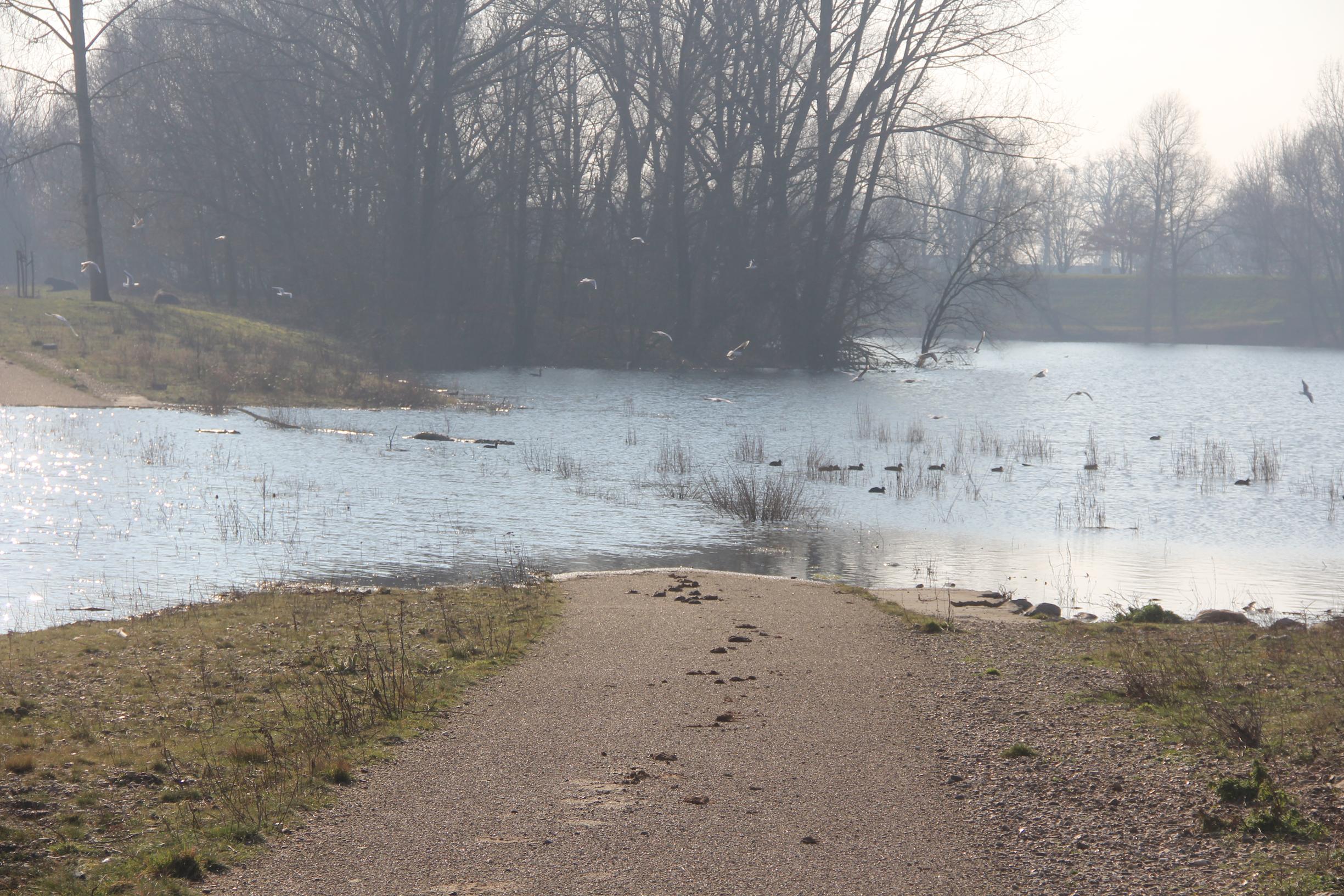 Wandelgebieden in de Maasvallei staan onder water ...