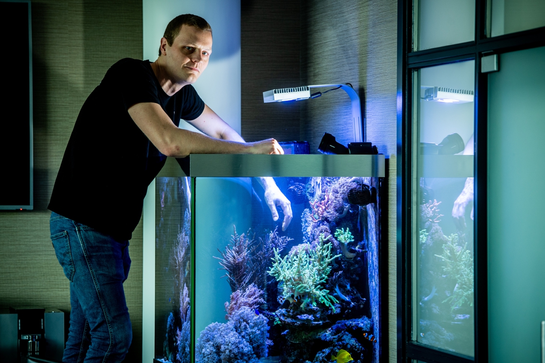 Grens verwijderen Intuïtie Hasselts bedrijf plaatst voor 189 euro per maand een aquarium op je kantoor  (Hasselt) | Het Belang van Limburg Mobile