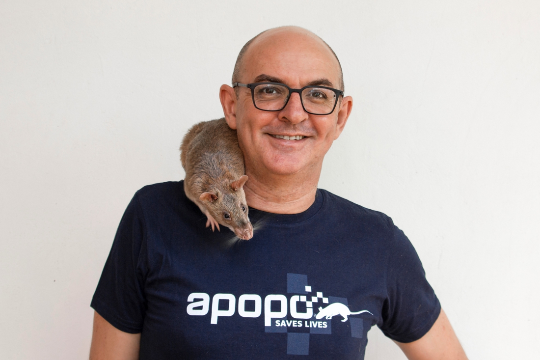 Award-winning landmine rat is world news, its owner is a … (Nieuwerkerken)