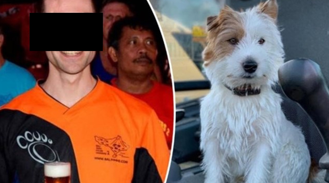 Jogger stabbing dog Dribble to death defends himself, owner re …