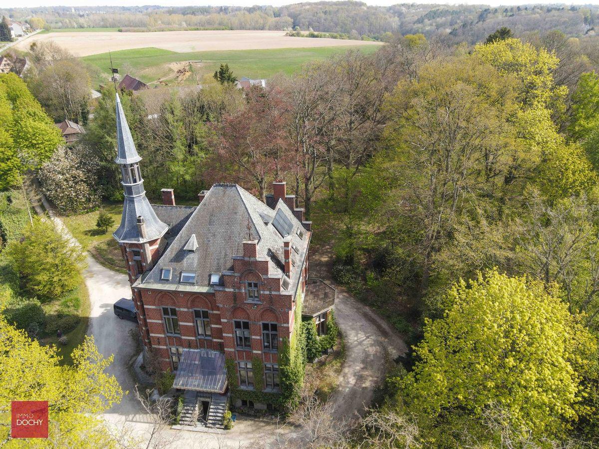 Varken Minimaal Ondergedompeld Deze indrukwekkende kastelen staan te koop in Vlaanderen | Het Belang van  Limburg Mobile