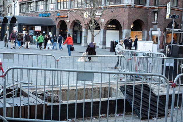 Nieuwe Zilverlindes Voor Hasseltse Grote Markt Zijn Op Komst Hasselt Het Belang Van Limburg