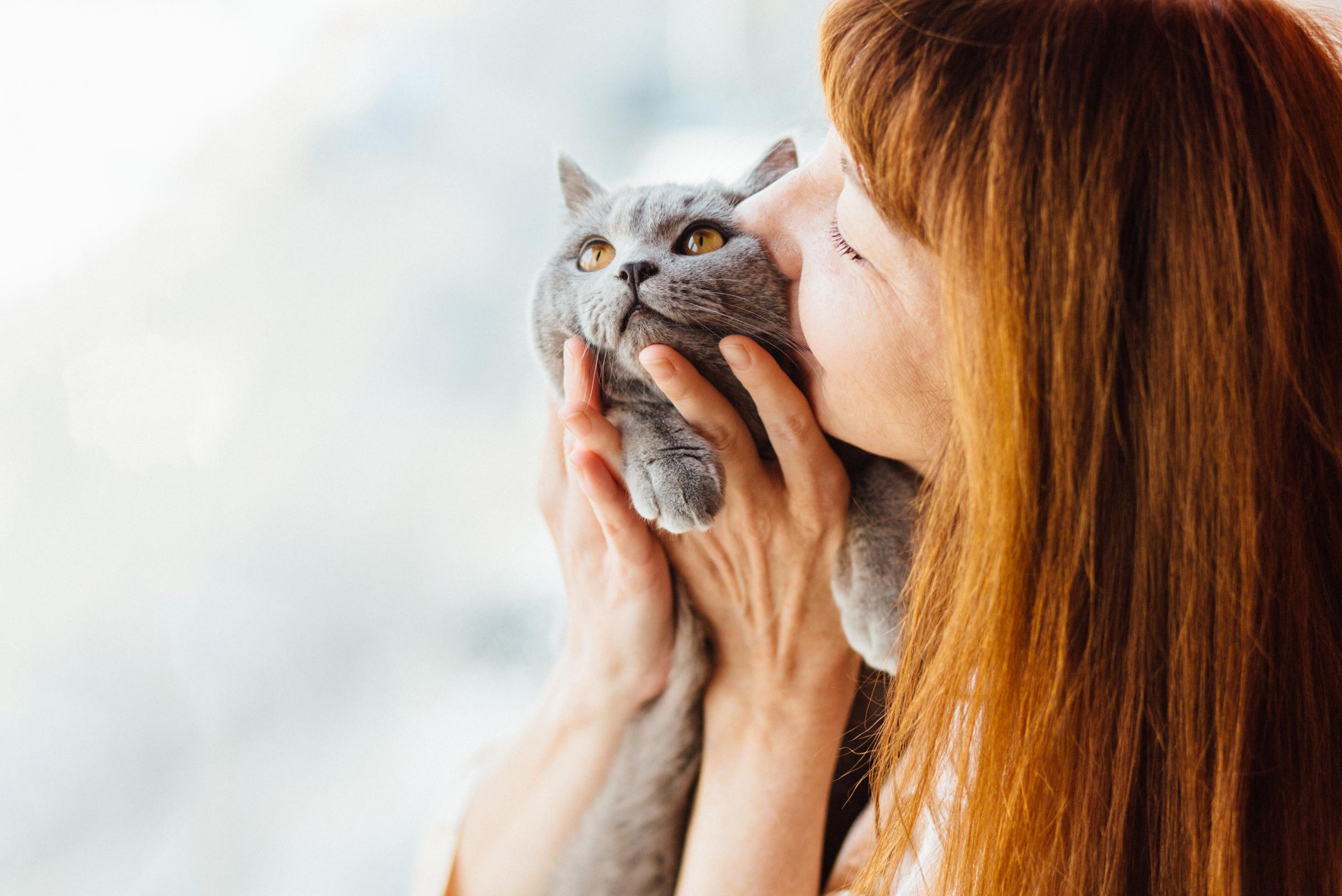 Kattenliefhebbers, opgelet je kat moet misschien niet van je weten Het Belang van Limburg Mobile foto