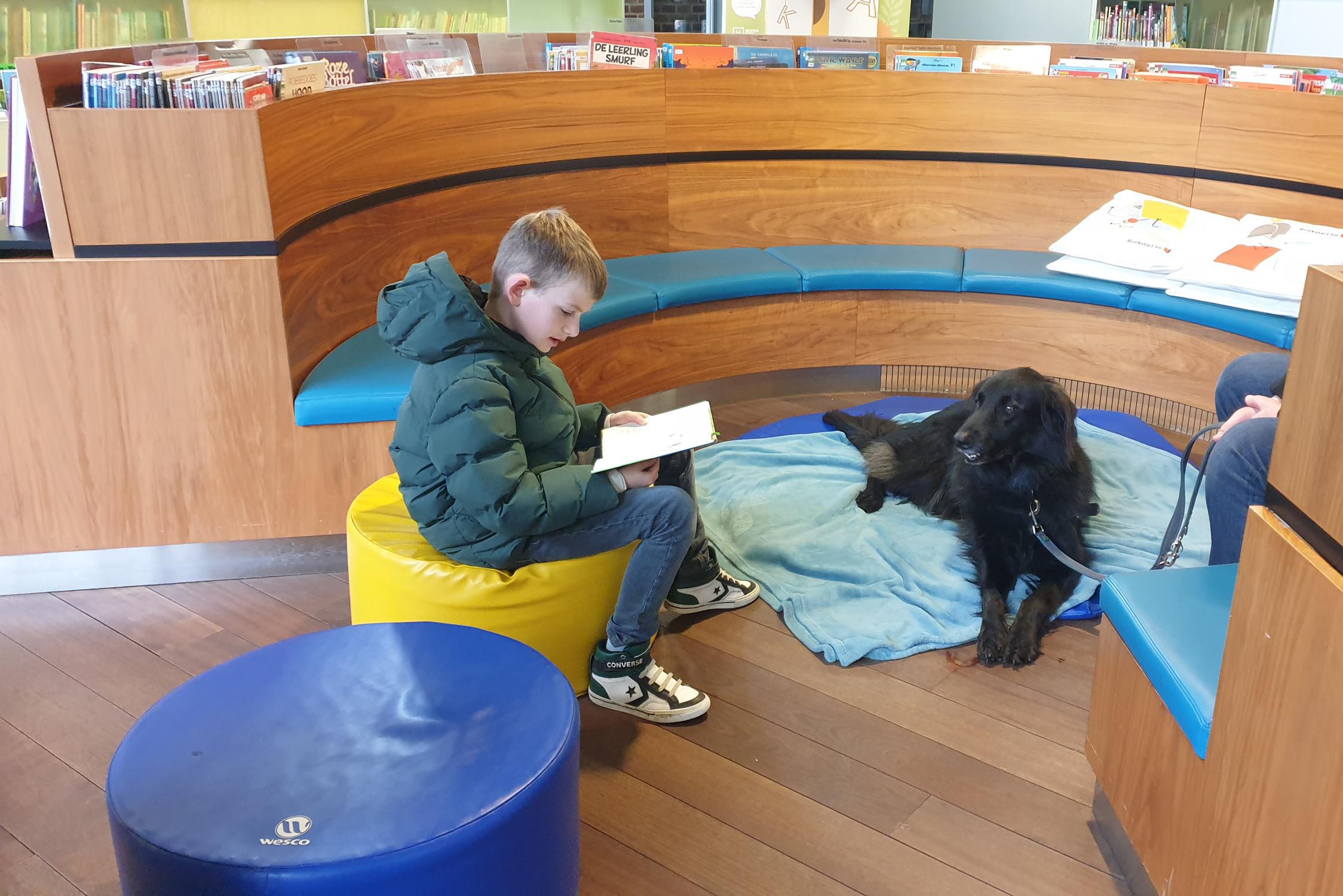 Kinderen lezen verhaaltjes voor aan blindengeleidehonden in bibliotheek van Hasselt