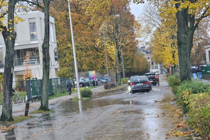 Aanhoudende regen zet straten blank in Genk, Hasselt en Halen