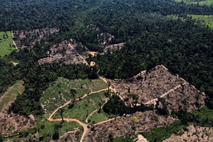 Stamhoofd dat tegen ontbossing Amazonewoud streed, doodgeschoten in Peru