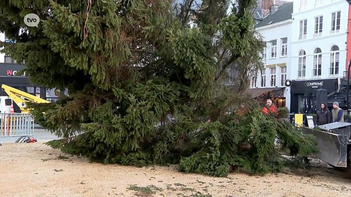 Scheve kerstboom pronkt amper halfuur op Grote Markt en wordt dan al neergehaald